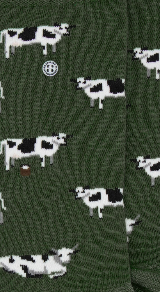 Miniatuur 2